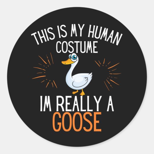 人間の衣装は本当にガチョウのパーティーの衣装 ラウンドシール (正面)