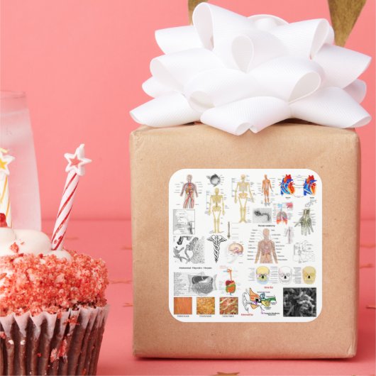 人間の解剖図 スクエアシール (パーティー)