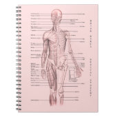 人間の解剖学の医学の図表のパーソナライズな学校 ノートブック (正面)