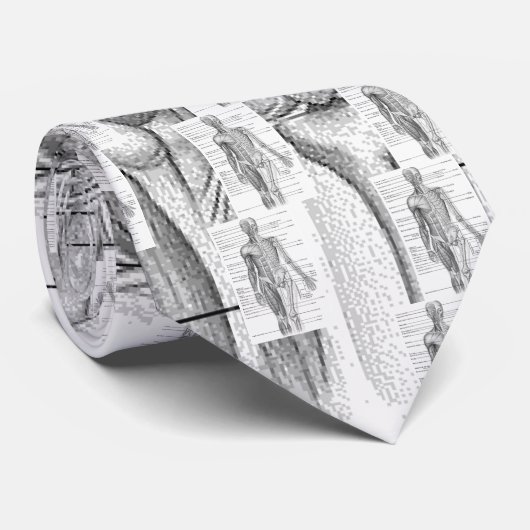 人間の解剖学の図表 ネクタイ (ロール)