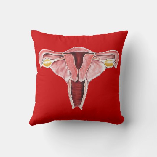 人間の解剖学の女性の生殖システム枕 クッション (裏面)