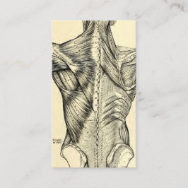 人間の解剖学の芸術の背筋(1890年頃) 名刺