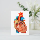 人間の解剖学ハート、断面 ポストカード (スタンド正面)