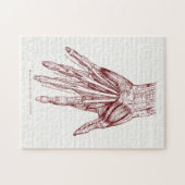 人間の解剖学手は赤を押し進ませます ジグソーパズル (横)