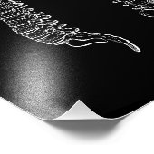 人間の解剖学的背骨、白黒 フォトプリント            (角)