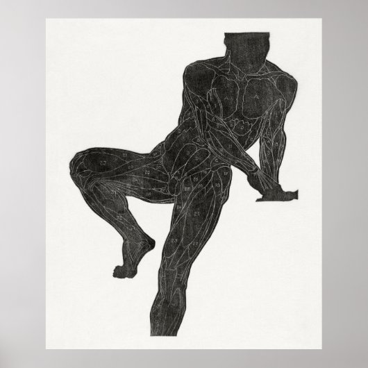 人間の解剖学2 ポスター (正面)