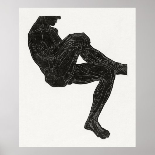 人間の解剖学3 ポスター (正面)