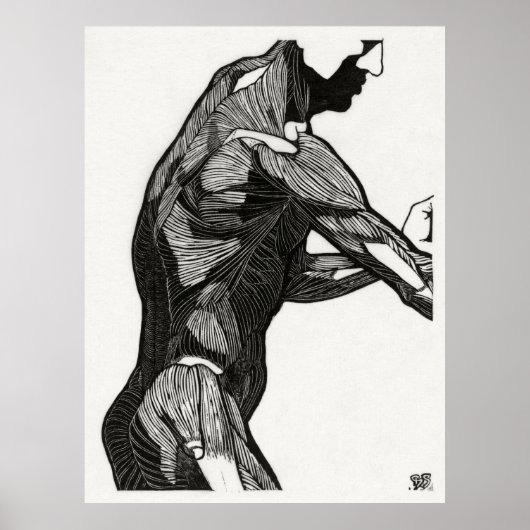 人間の解剖学4 ポスター (正面)