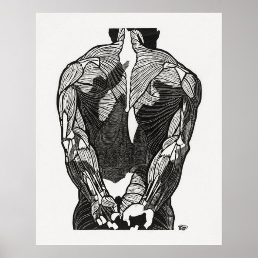 人間の解剖学5 ポスター (正面)