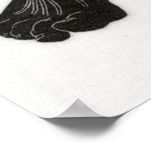 人間の解剖学6 ポスター (角)