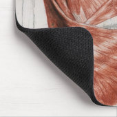 人間の解剖学; 胴および肩の筋肉 マウスパッド (コーナー)