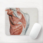 人間の解剖学; 胴および肩の筋肉 マウスパッド (マウス)