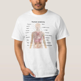 人間の解剖学 Tシャツ