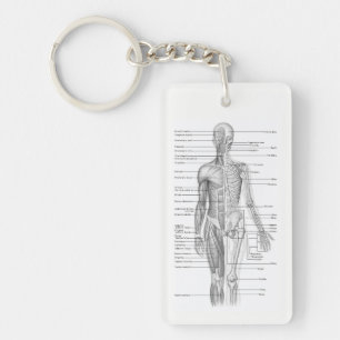 人間の解剖学AP101の教育図表Keychain キーホルダー
