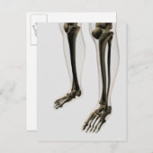 人間の足と足の3次元ビュー ポストカード (正面/裏面)