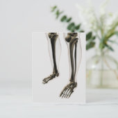 人間の足と足の3次元ビュー ポストカード (スタンド正面)