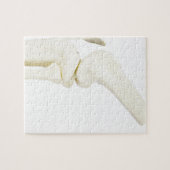 人間の足の膝関節モデル ジグソーパズル (横)