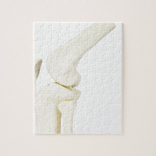 人間の足の膝関節モデル ジグソーパズル (縦)