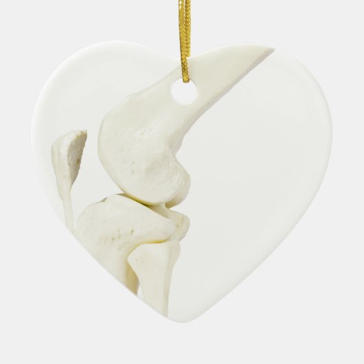 人間の足の膝関節モデル セラミックオーナメント (正面)