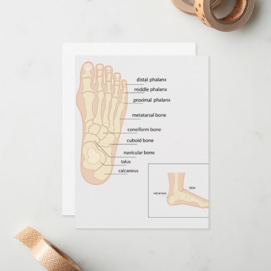 人間の足 ノートカード (正面/裏面インサイチュ)