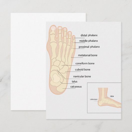 人間の足 ノートカード (正面/裏面)