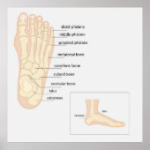 人間の足 ポスター (正面)