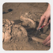 人間の遺体 スクエアシール (正面)