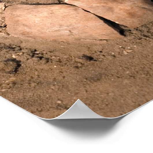 人間の遺体 ポスター (角)