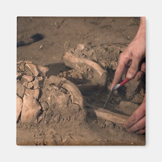 人間の遺体 マグネット (正面)