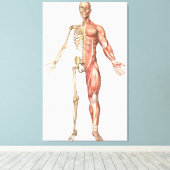 人間の骨格と筋肉のシステム、フロント キャンバスプリント (インサイチュ (ウッドフロア))