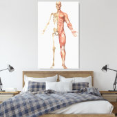 人間の骨格と筋肉のシステム、フロント キャンバスプリント (インサイチュ (寝室))
