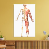 人間の骨格と筋肉のシステム、背中 キャンバスプリント (インサイチュ (リビング))