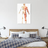 人間の骨格と筋肉のシステム、背中 キャンバスプリント (インサイチュ (寝室))
