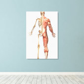 人間の骨格と筋肉のシステム、背中 キャンバスプリント (インサイチュ (ウッドフロア))