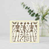 人間の骨格の科学的イラストレーション ポストカード (スタンド正面)