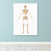人間の骨格システム、正面図 キャンバスプリント (インサイチュ (ウッドフロア))