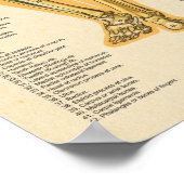 人間の骨格解剖の骨チャート女性 ポスター (角)