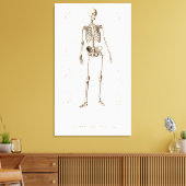 人間の骨格 キャンバスプリント (インサイチュ (リビング))