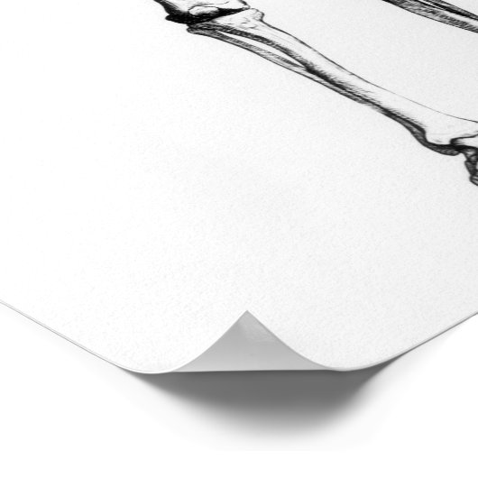 人間の骨格 ポスター (角)