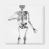 人間の骨格 マグネット (正面)
