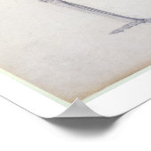 人間の骨格、横方向のビュー、シリーズから ポスター (角)