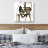 人間の骨盤の骨の3次元像 キャンバスプリント (インサイチュ (寝室))