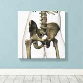 人間の骨盤の骨の3次元像 キャンバスプリント (インサイチュ (ウッドフロア))