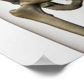 人間の骨盤の骨の3次元像 ポスター (角)