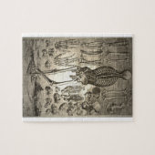 人間の骨組カリフォルニア1741年 ジグソーパズル (横)