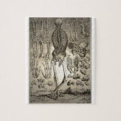 人間の骨組カリフォルニア1741年 ジグソーパズル (縦)