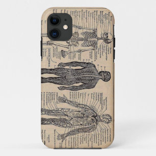 人間の骨組医学の図表のiPhone 5の場合 iPhone 11 ケース