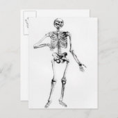 人間の骨組 ポストカード (正面/裏面)
