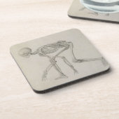 人間の骨組: 身をかがめる姿勢の側面眺め、 コースター (左側)