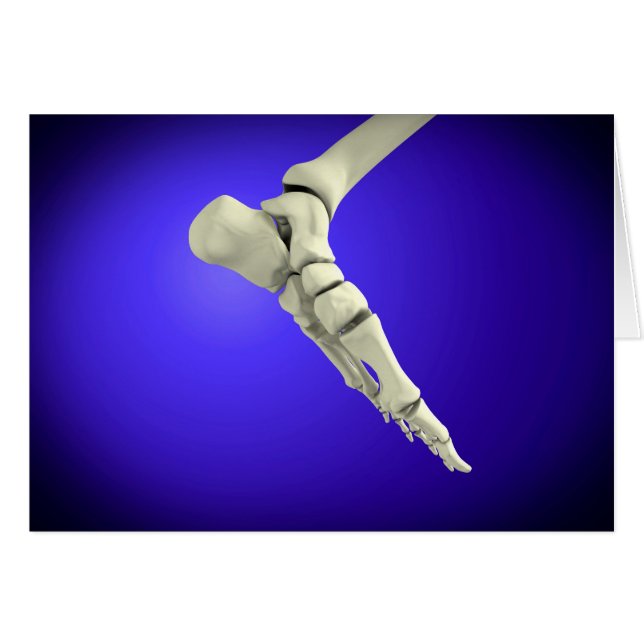 人間のX線ビュー2足 (正面横)